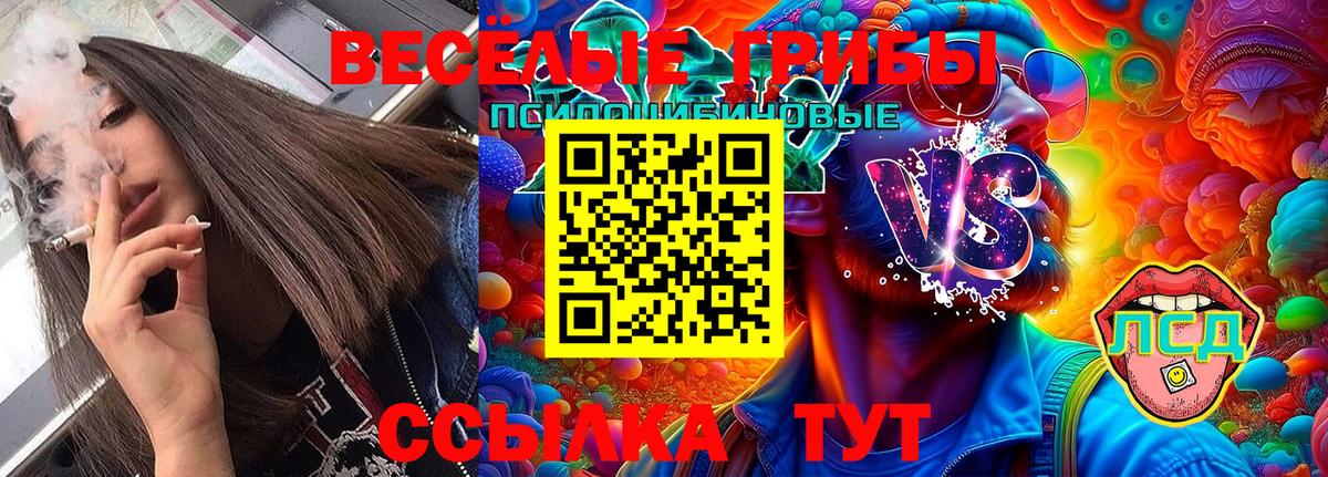 Псилоцибиновые грибы Psilocybe  Вход с VPN  Галлюциногенные грибы Cubensis  Кимовск 