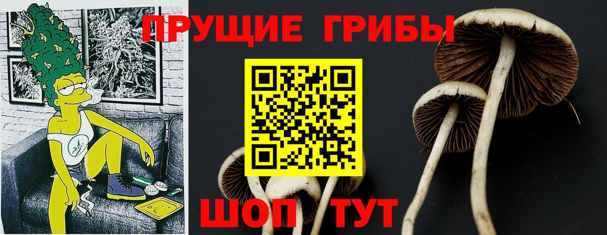 Галлюциногенные грибы мухоморы Кимовск