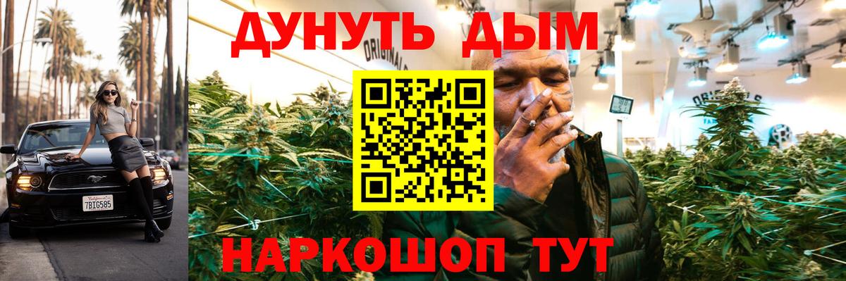 Кимовск  Шишки марихуана план  Каннабис тримм  Вход с VPN  МАРИХУАНА THC 21% 